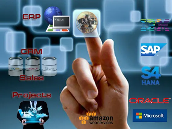 ERP, CRM & S.I.P., Systems